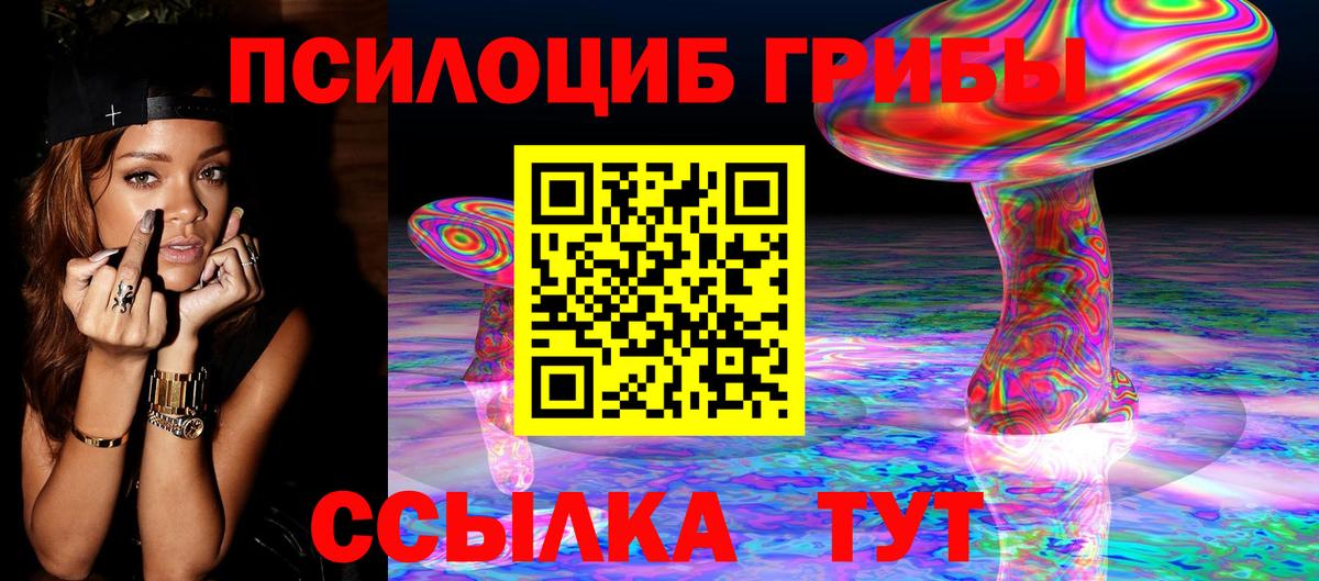 Псилоцибиновые грибы GOLDEN TEACHER  Вход с VPN  Галлюциногенные грибы GOLDEN TEACHER  Сунжа 